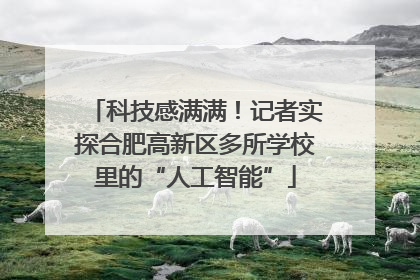 科技感满满！记者实探合肥高新区多所学校里的“人工智能”