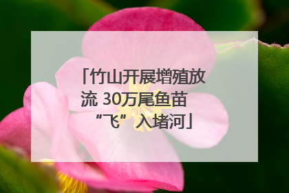 竹山开展增殖放流 30万尾鱼苗“飞”入堵河