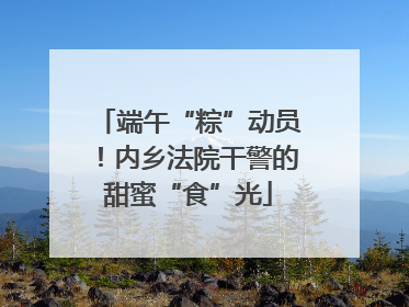 端午“粽”动员！内乡法院干警的甜蜜“食”光