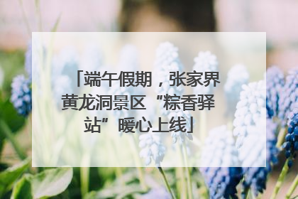 端午假期，张家界黄龙洞景区“粽香驿站”暖心上线