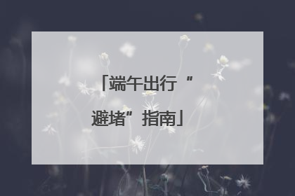 端午出行“避堵”指南