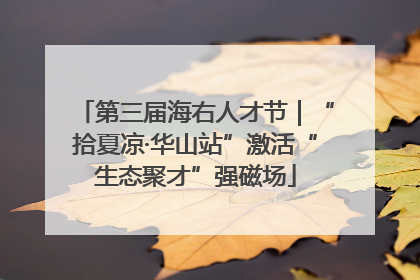 第三届海右人才节｜“拾夏凉·华山站”激活“生态聚才”强磁场