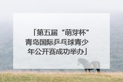 第五届“萌芽杯”青岛国际乒乓球青少年公开赛成功举办