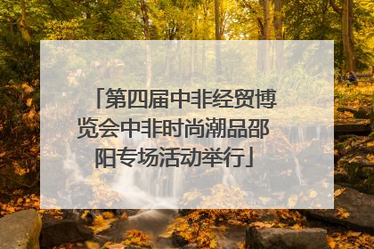 第四届中非经贸博览会中非时尚潮品邵阳专场活动举行