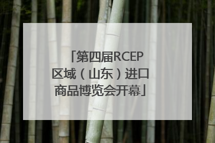 第四届RCEP区域（山东）进口商品博览会开幕