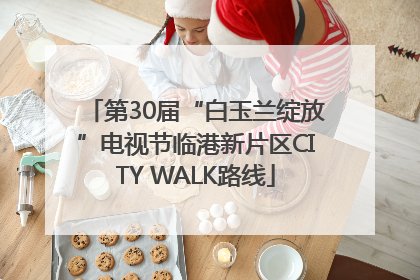 第30届“白玉兰绽放”电视节临港新片区CITY WALK路线
