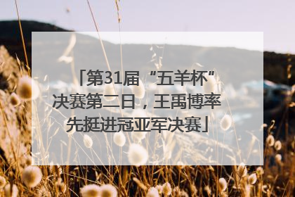第31届“五羊杯”决赛第二日，王禹博率先挺进冠亚军决赛
