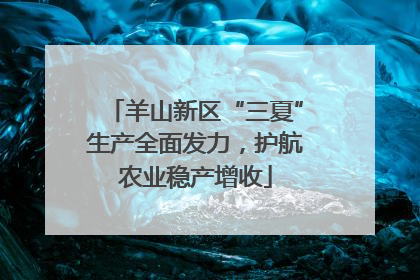 羊山新区“三夏”生产全面发力，护航农业稳产增收