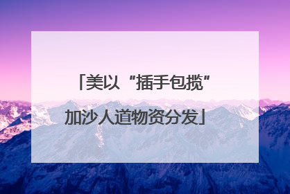 美以“插手包揽”加沙人道物资分发