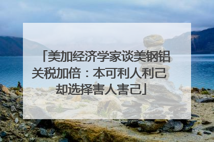 美加经济学家谈美钢铝关税加倍：本可利人利己 却选择害人害己