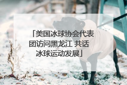 美国冰球协会代表团访问黑龙江 共话冰球运动发展