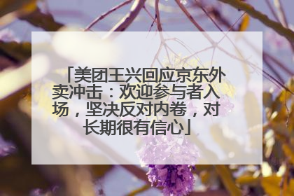 美团王兴回应京东外卖冲击：欢迎参与者入场，坚决反对内卷，对长期很有信心