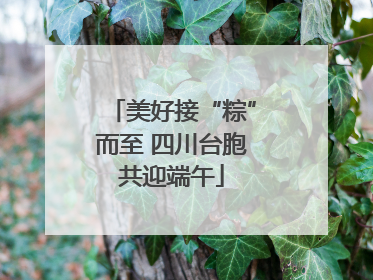 美好接“粽”而至 四川台胞共迎端午