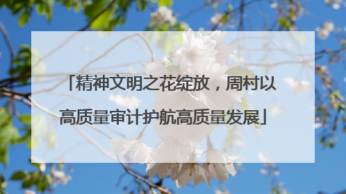 精神文明之花绽放，周村以高质量审计护航高质量发展