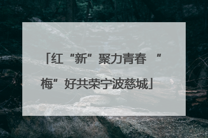 红“新”聚力青春 “梅”好共荣宁波慈城