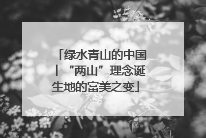 绿水青山的中国丨“两山”理念诞生地的富美之变