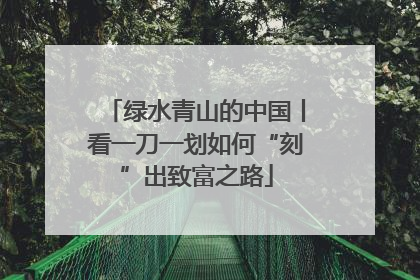 绿水青山的中国丨看一刀一划如何“刻”出致富之路