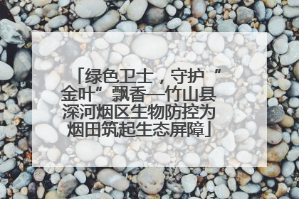 绿色卫士，守护“金叶”飘香—竹山县深河烟区生物防控为烟田筑起生态屏障