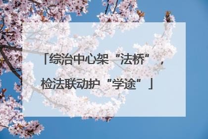 综治中心架“法桥”，检法联动护“学途”