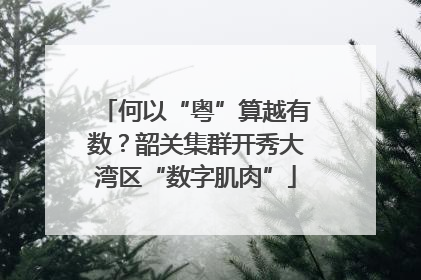 何以“粤”算越有数？韶关集群开秀大湾区“数字肌肉”