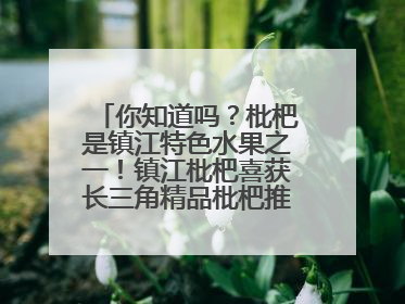 你知道吗？枇杷是镇江特色水果之一！镇江枇杷喜获长三角精品枇杷推选金奖