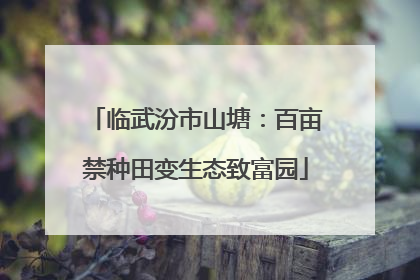 临武汾市山塘：百亩禁种田变生态致富园