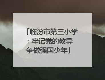 临汾市第三小学：牢记党的教导 争做强国少年