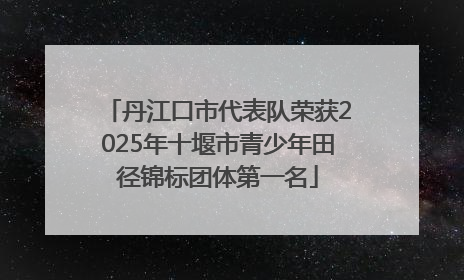 丹江口市代表队荣获2025年十堰市青少年田径锦标团体第一名
