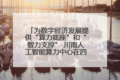为数字经济发展提供“算力底座”和“智力支撑” 川南人工智能算力中心在四川泸州启动