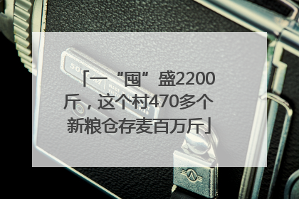 一“囤”盛2200斤，这个村470多个新粮仓存麦百万斤