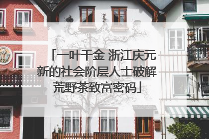 一叶千金 浙江庆元新的社会阶层人士破解荒野茶致富密码