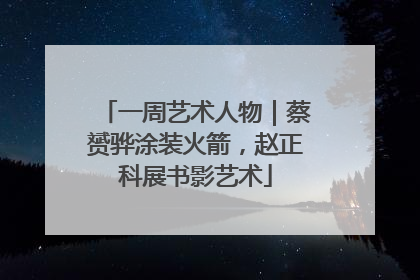 一周艺术人物｜蔡赟骅涂装火箭，赵正科展书影艺术