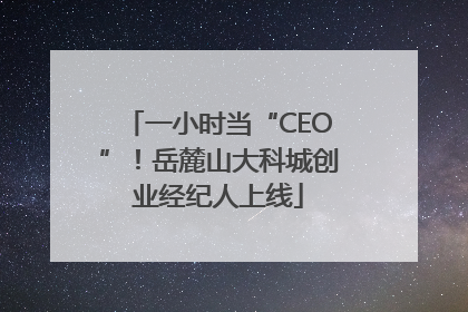 一小时当“CEO”！岳麓山大科城创业经纪人上线