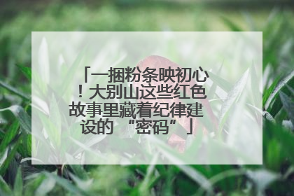 一捆粉条映初心！大别山这些红色故事里藏着纪律建设的 “密码”