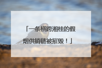 一条横跨湘桂的假烟供销链被摧毁！