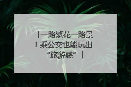 一路繁花一路景！乘公交也能玩出“旅游感”