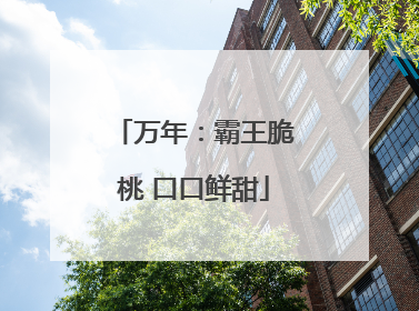 万年：霸王脆桃 口口鲜甜