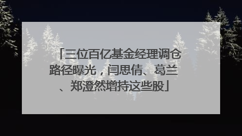 三位百亿基金经理调仓路径曝光，闫思倩、葛兰、郑澄然增持这些股
