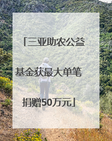 三亚助农公益基金获最大单笔捐赠50万元