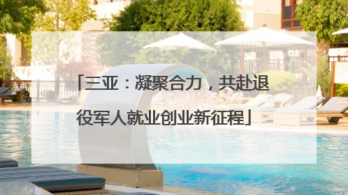 三亚：凝聚合力，共赴退役军人就业创业新征程