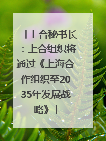 上合秘书长：上合组织将通过《上海合作组织至2035年发展战略》