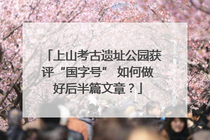 上山考古遗址公园获评“国字号” 如何做好后半篇文章？