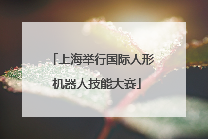 上海举行国际人形机器人技能大赛