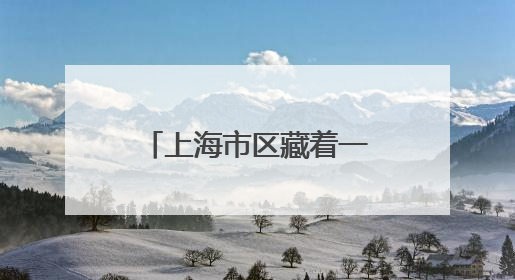 上海市区藏着一处人少免费的“童话公园”！绣球花海、金色秘境……地铁直达→