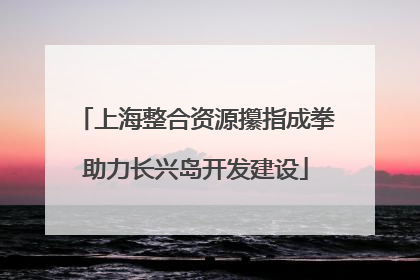上海整合资源攥指成拳助力长兴岛开发建设