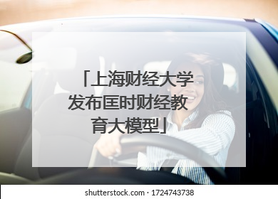 上海财经大学发布匡时财经教育大模型