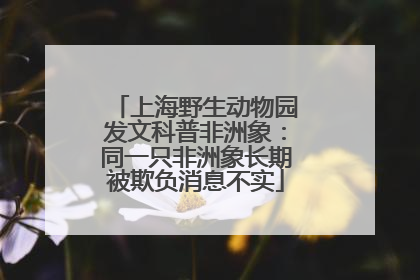 上海野生动物园发文科普非洲象：同一只非洲象长期被欺负消息不实