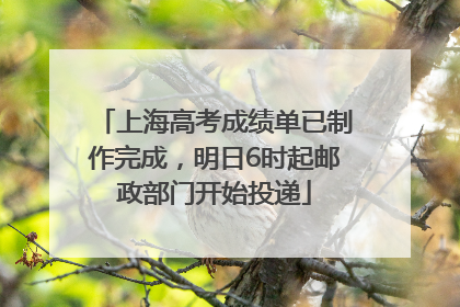 上海高考成绩单已制作完成，明日6时起邮政部门开始投递