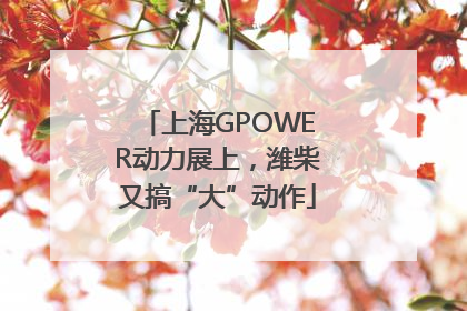 上海GPOWER动力展上，潍柴又搞“大”动作