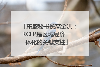 东盟秘书长高金洪：RCEP是区域经济一体化的关键支柱